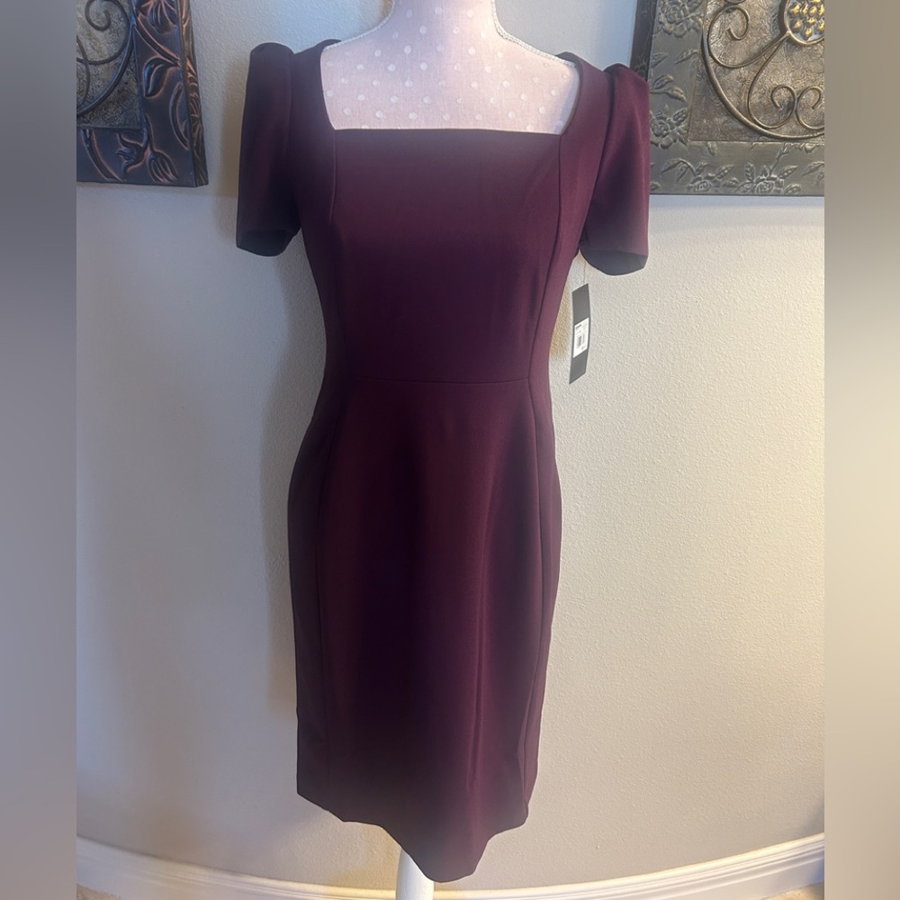 Elegant Dress NWT